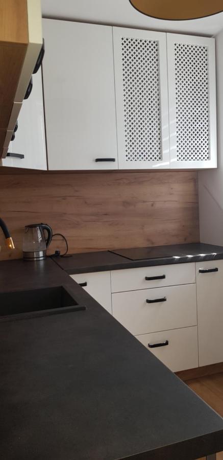 Apartament U Kasi Z Widokiem Na Zamek Malborski Διαμέρισμα Μάλμπορκ Εξωτερικό φωτογραφία