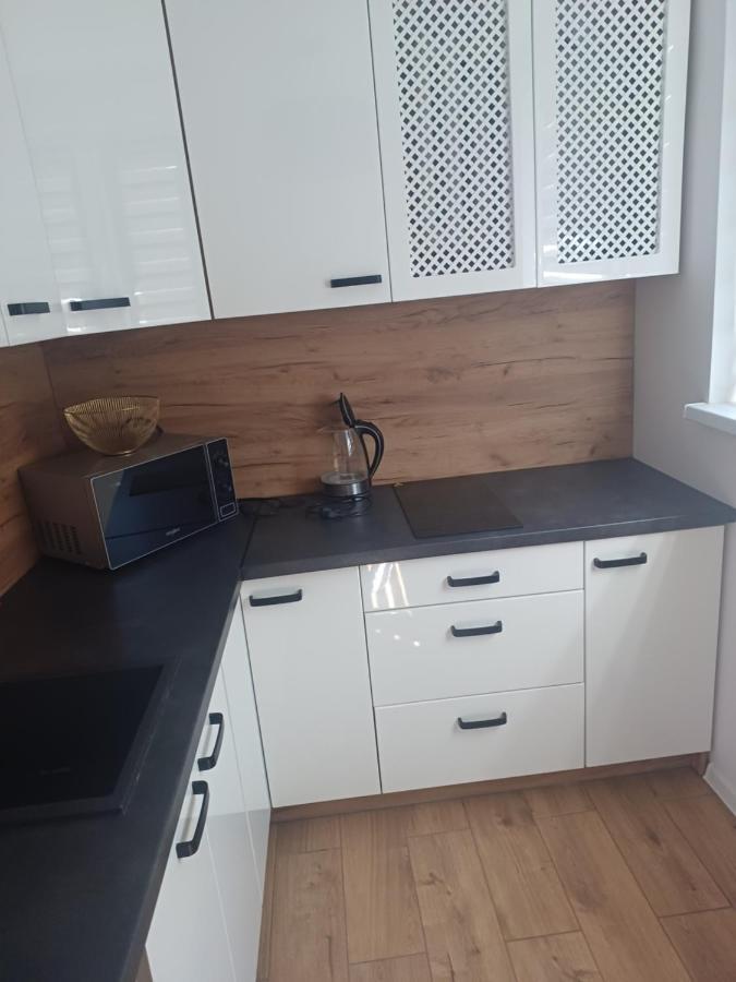 Apartament U Kasi Z Widokiem Na Zamek Malborski Διαμέρισμα Μάλμπορκ Εξωτερικό φωτογραφία